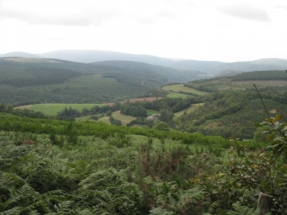 LACAUNE - CARRIERE D ARDOISE-tarn