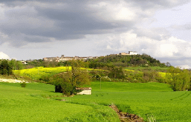 CASTELNAU-DE-MONTMIRAL-tarn