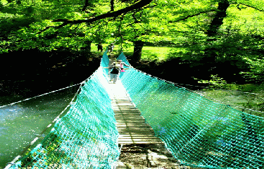 VALLEE SAUVAGE DU DADOU-tarn