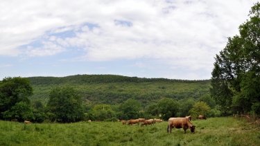 LES ABRIOLS - VALEYRES-tarn