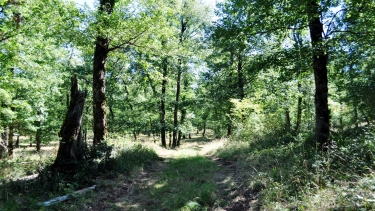 MEANDRE DU RO ORIENTAL-tarn