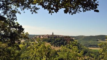 LE VERGER CONSERVATOIRE-tarn