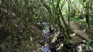 CASCADE DE L AUDOULOU (2)-tarn