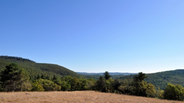 MASSIF DE MONTOULIEU-tarn