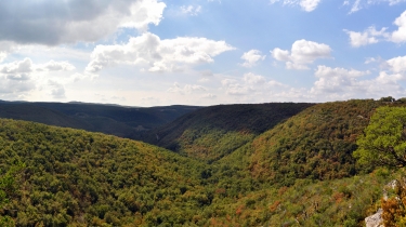 AUTOUR DE LA MADELEINE-tarn