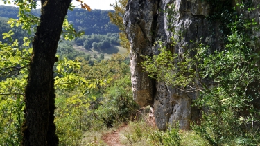 AUTOUR DE LA MADELEINE - VERSION COURTE-tarn