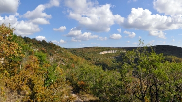AUTOUR DE LA MADELEINE - VERSION COURTE-tarn