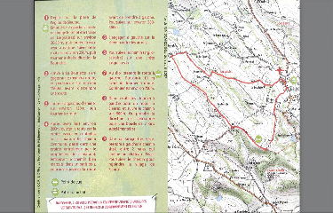 SIEURAC - CHEMIN DES TERRES BLANCHES-tarn