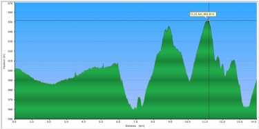 LAC DE CAMMAZES-tarn