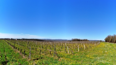 LA MEULIERE DE CLAYRAC - VERSION COURTE-tarn