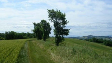 LABOUTARIE - CHEMIN DES TERRES BLANCHES-tarn