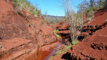 LES ROUGIERS DE MARAVAL-tarn