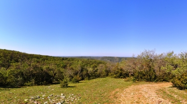 GROTTE DES BARTHASSES-tarn