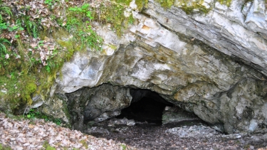 GROTTE DES BARTHASSES-tarn