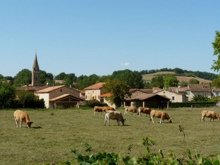 LOMBERS - CHEMIN SECRET DE L AUTAN-tarn