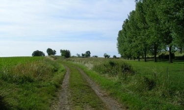 POUZOLS - CHEMIN D AGROS-tarn