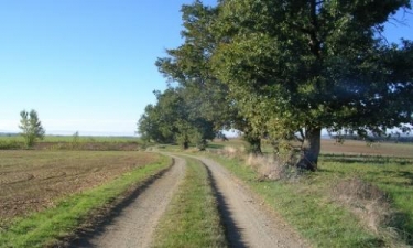 LAFENASSE - CHEMIN DES MINEURS-tarn