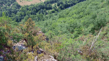 LA MAGDELEINE - PENNE - COUYRAC - CAREME-tarn