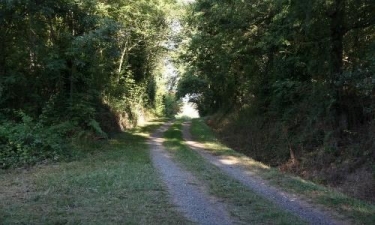 FAUCH - CHEMIN DES PUECHS EN ASSOU-tarn