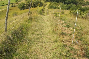 LAUTREC - LE SENTIER DE L AIL-tarn