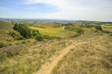 LAUTREC - CIRCUIT DES CRETES-tarn