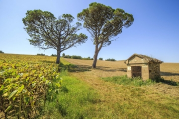 LAUTREC - BOUCLE DES TUMULUS-tarn