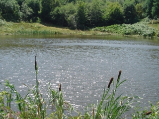 LE LAC DE CARBONERAL