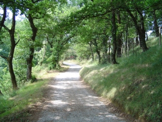 LE LAC DE CARBONERAL-tarn