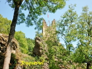 LE TEL - JOUQUEVIEL-tarn