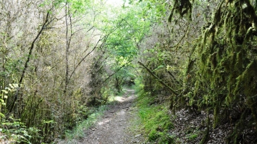 LES 2 VERSANTS DE LAVALLEE DE LAUSSIERE-tarn