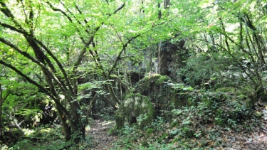 LES MOULINS DE LAUSSIERE - VERSION FAMILIALE-tarn