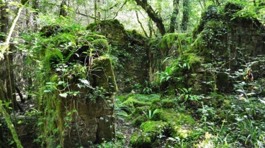 LES MOULINS DE LAUSSIERE - VERSION FAMILIALE-tarn