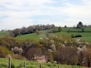 PAULINET - LES BERGERS-tarn
