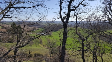 LES COTEAUX DE SALVAGNAC-tarn