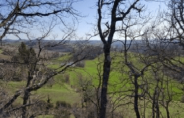 LES COTEAUX DE SALVAGNAC-tarn