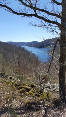 AUTOUR DU LAC DU LAOUZAS-tarn