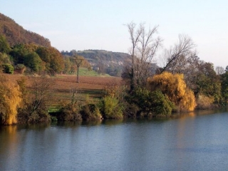 MARSSAC-SUR-TARN - LE CHEMIN DE DOMINIQUE-tarn