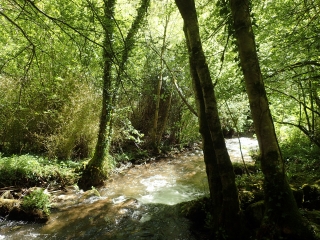 OMPS - LA BERTRANDIE-tarn