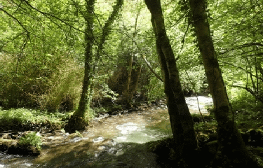 OMPS - LA BERTRANDIE-tarn