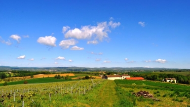 MONTELS - BROZE-tarn