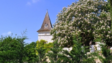 VIEUX - TOSCANE TARNAISE-tarn