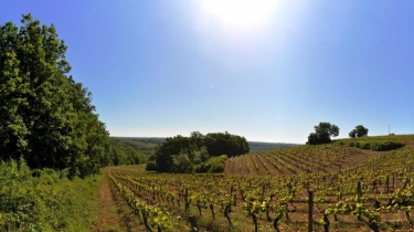 CHAPELLE NOTRE-DAME DE CABANES-tarn