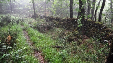 DE SAINTE-CECILE-DE-CAYROU A LA GRESIGNE-tarn