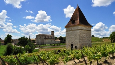 ANDILLAC - CHATEAU DU CAYLA-tarn