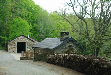 SUR LES PAS DE L ENFANT SAUVAGE-tarn