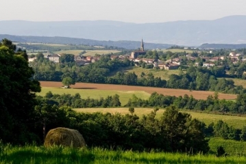 MONTREDON-LABESSONNIE - TOUR DU VILLAGE-tarn