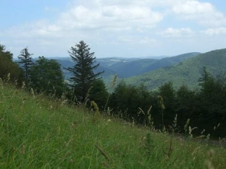 MONTREDON-LABESSONNIE - SENTIER DE LAGRIFFOUL-tarn