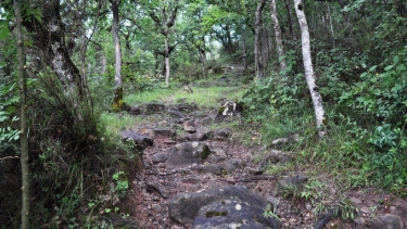 MARNAVES - RUISSEAU DE COMBEROUZAL-tarn