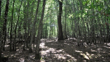 GRANDE BOUCLE DE GRESIGNE-tarn