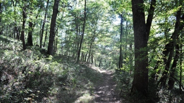 PAS DE POMMAREDE-tarn